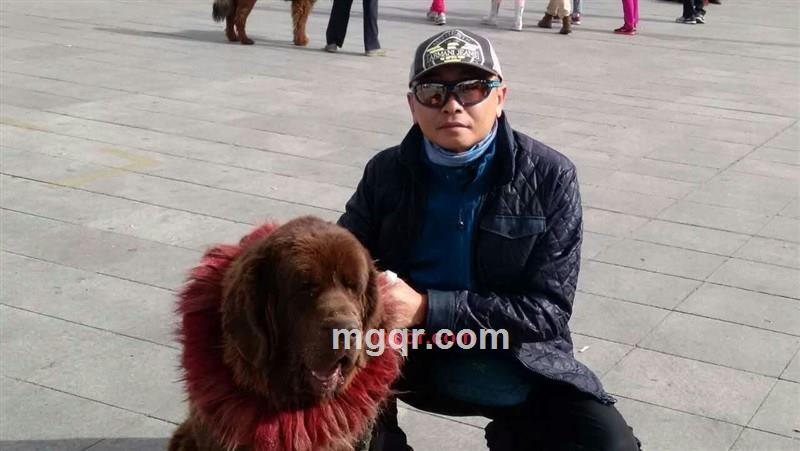 蓝天123的第1张照片