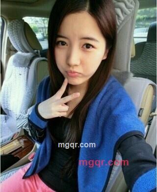 北极熊6的第2张照片