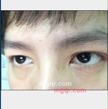 越狱的芝麻的第1张照片