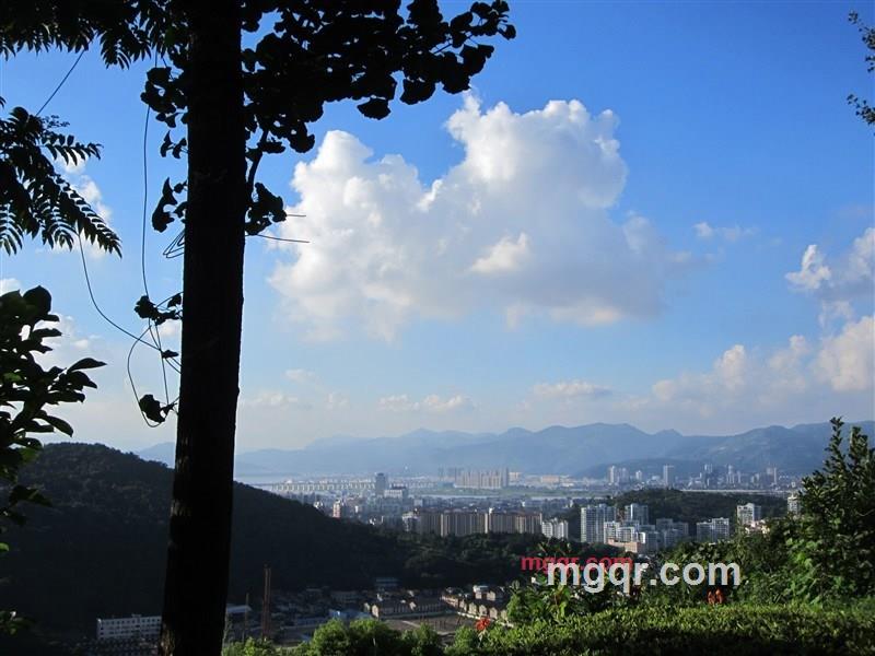 绿 林的第8张照片