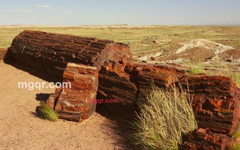 平凡人生的精彩偶遇的第4张照片