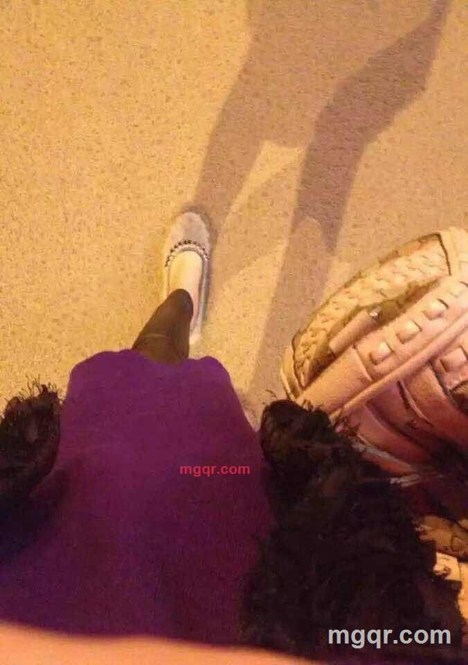 藤萝初绽香袭人的第1张照片