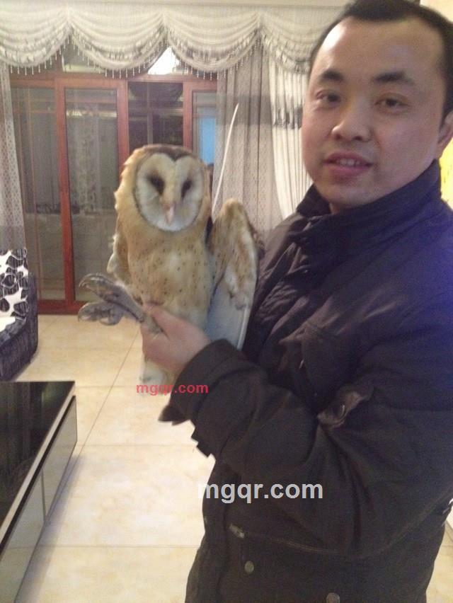 幸福的起点的第1张照片