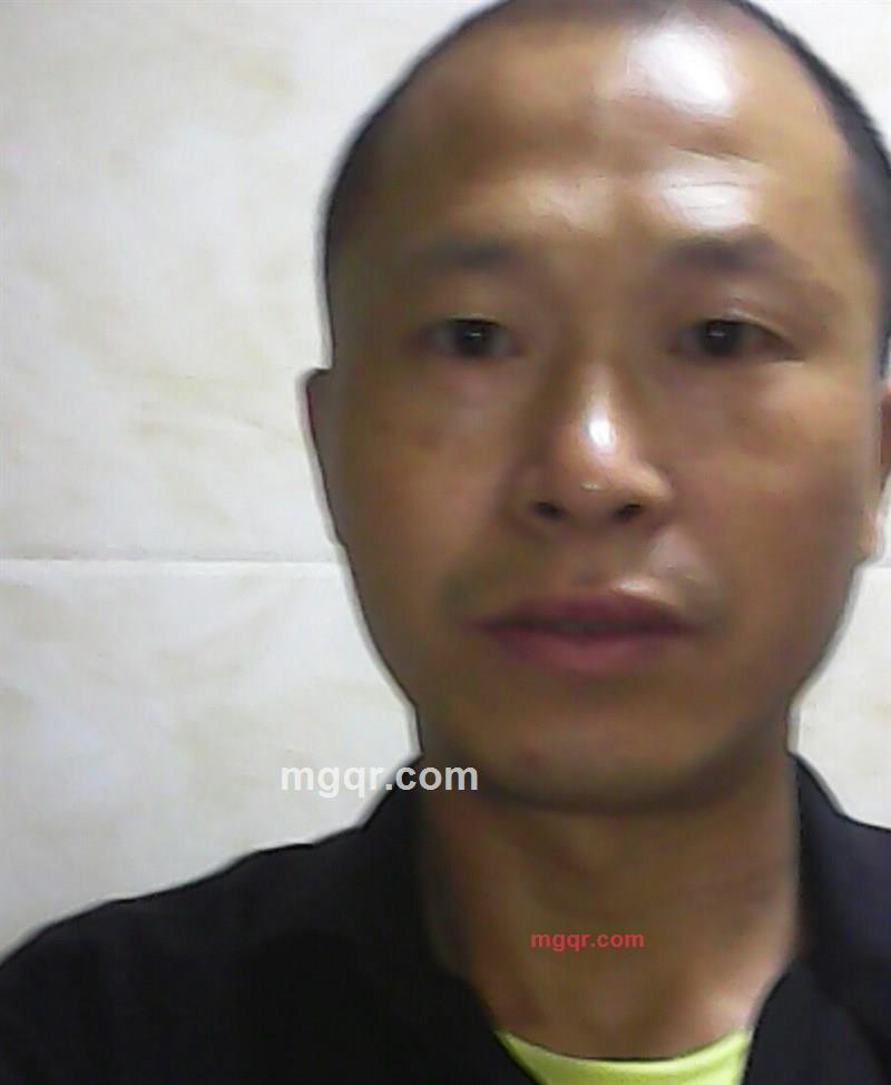 坦率的野狼的第5张照片