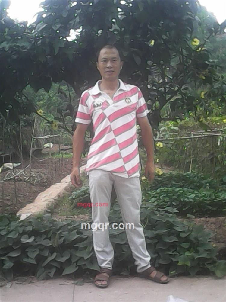 坦率的野狼的第2张照片