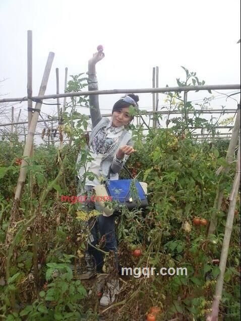 明月520的第1张照片