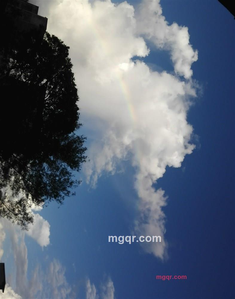 聪哥鱼的第2张照片