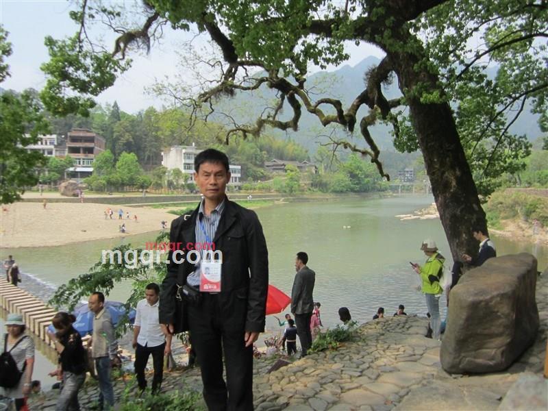 绿 林的第2张照片