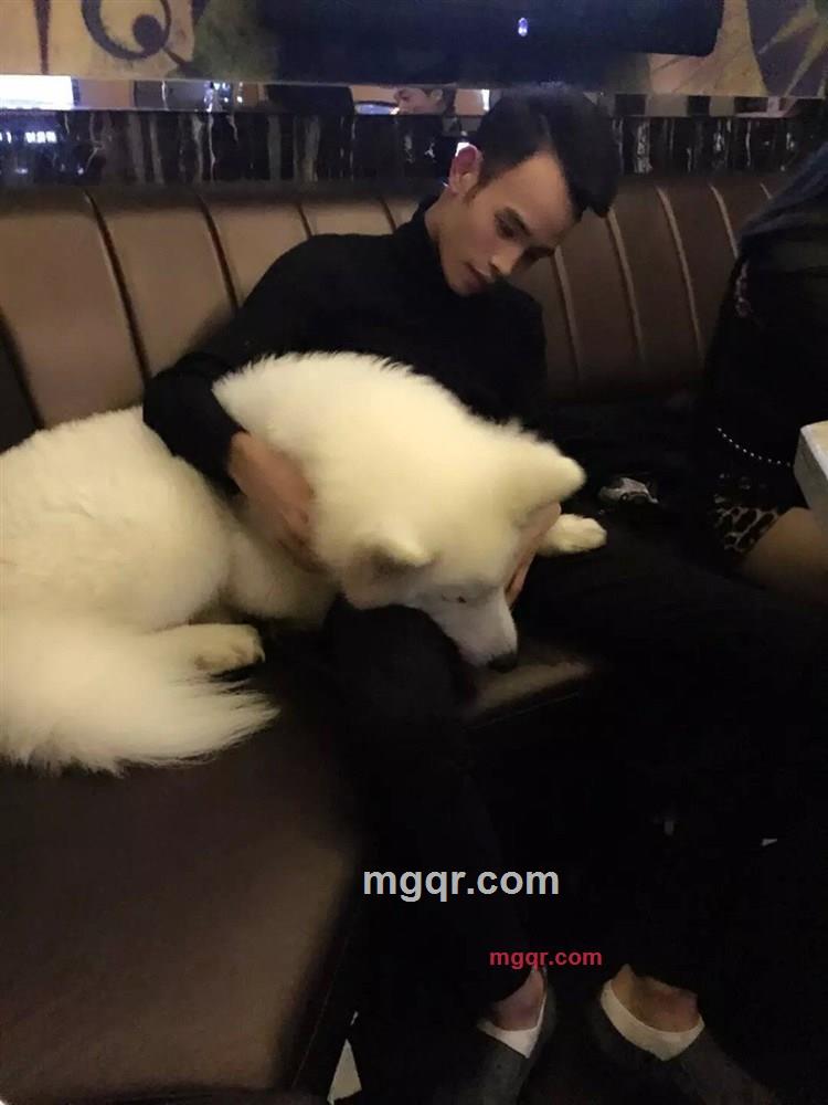 大约在-冬季的第1张照片