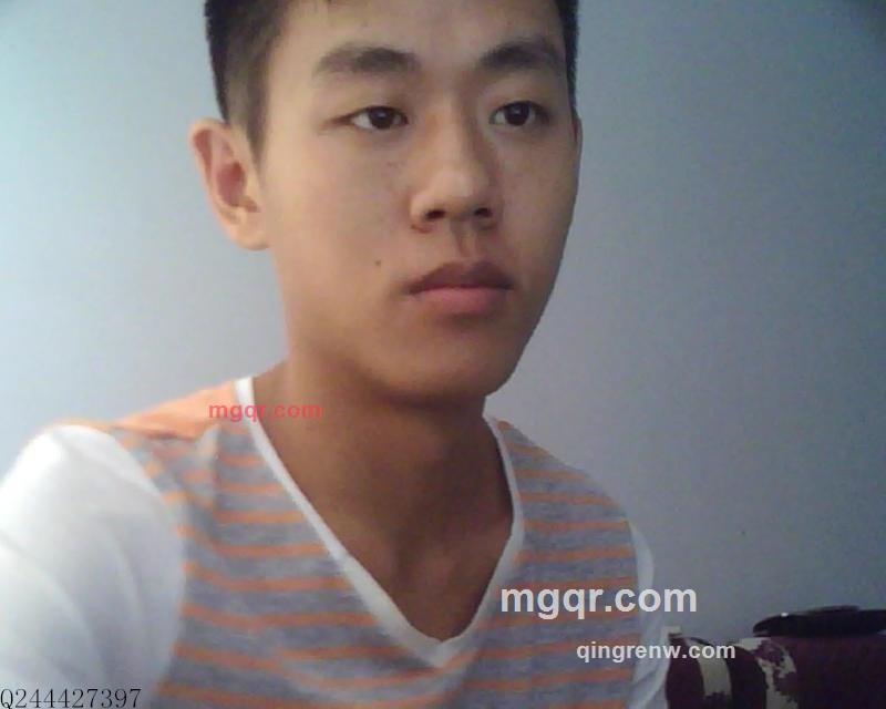 不锈钢虫子的第1张照片