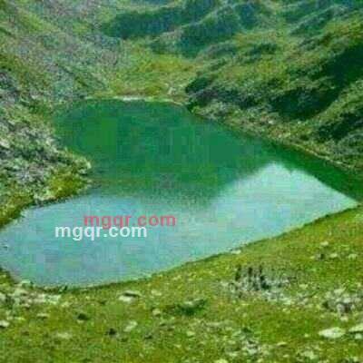 雪@@狼的第1张照片