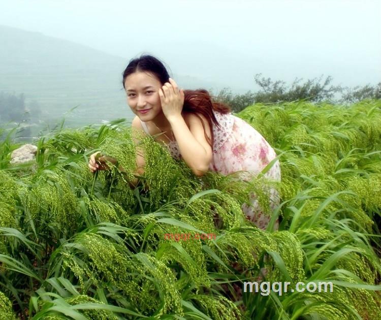 紫色幽灵的梦AA的第5张照片