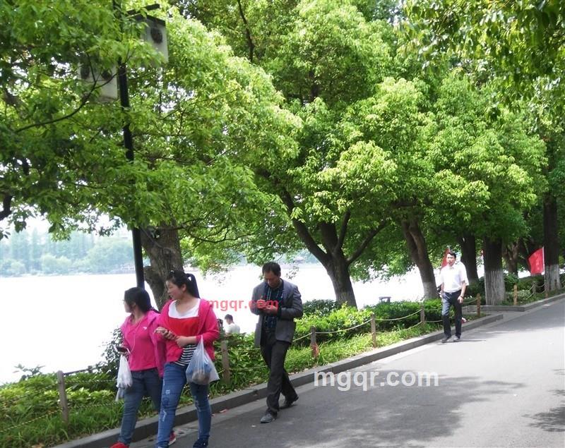 kkq789的第4张照片