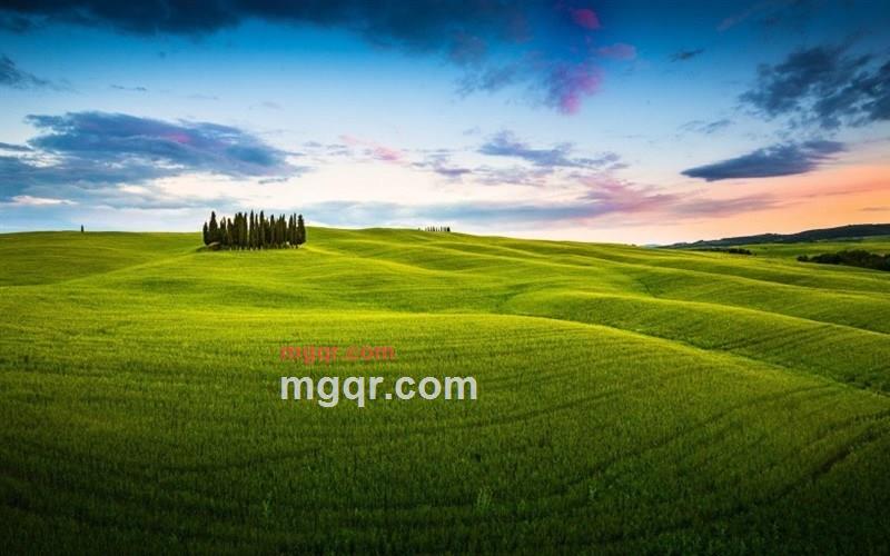 谁愿意养我的第9张照片