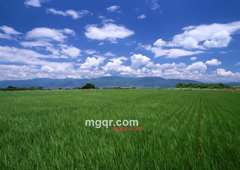 谁愿意养我的第7张照片