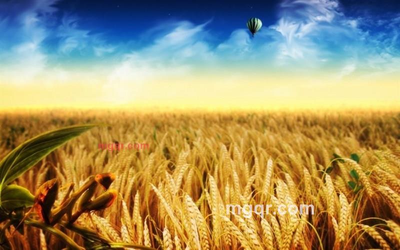 谁愿意养我的第6张照片