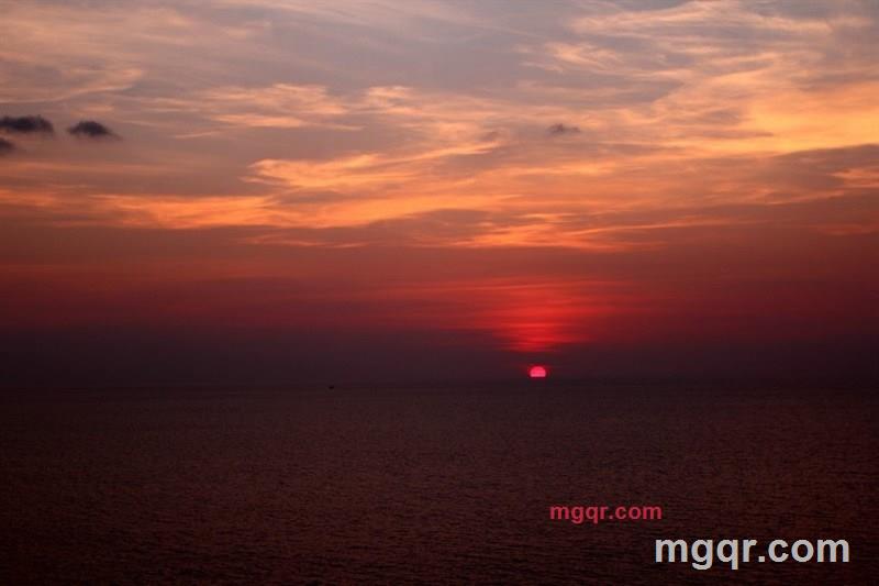 谁愿意养我的第5张照片