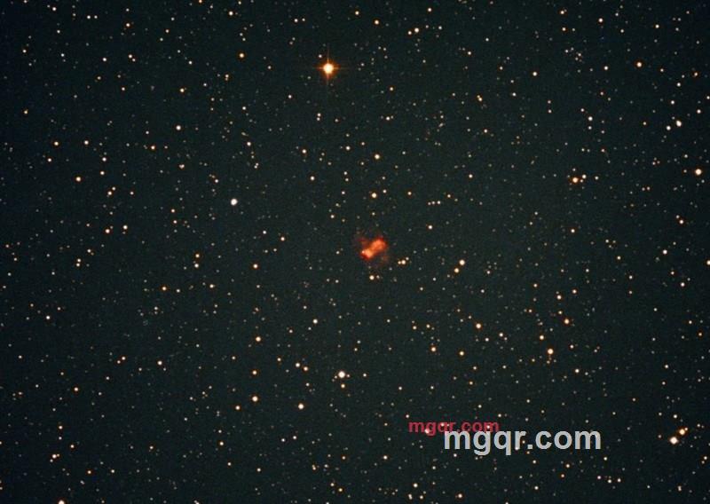 谁愿意养我的第4张照片