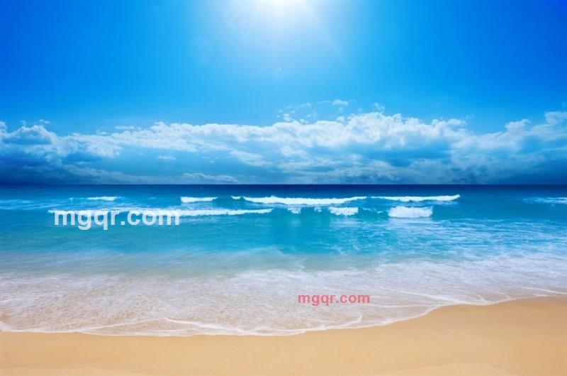 谁愿意养我的第1张照片