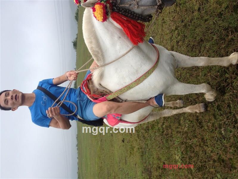 城市孤舟的第1张照片