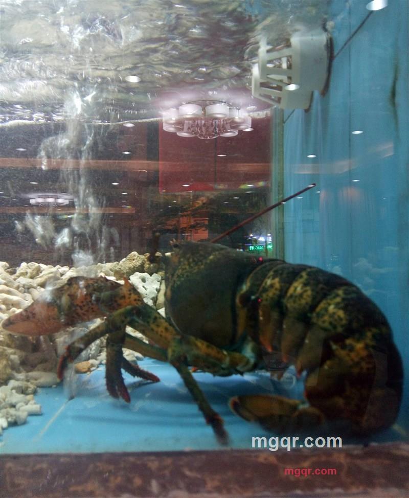 奔奔的第5张照片