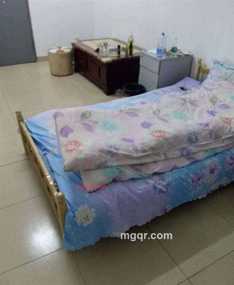 奔奔的第3张照片