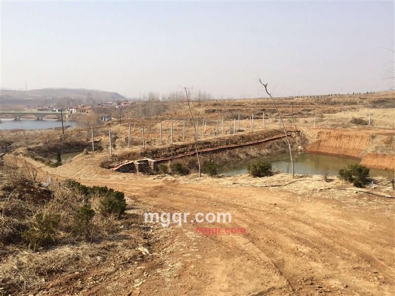 毒祝福的第2张照片