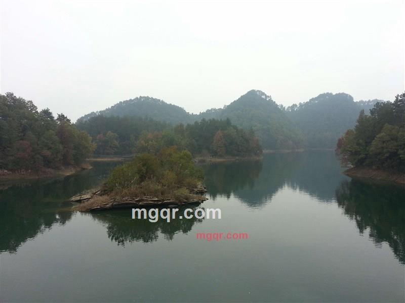 毒祝福的第1张照片