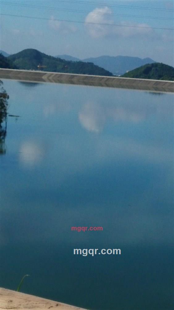 夜青年的第1张照片