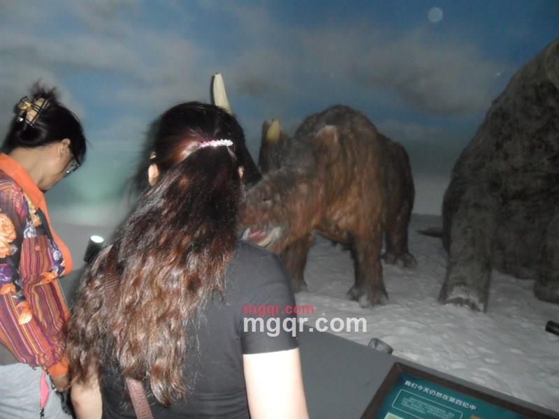 幸的开始的第2张照片