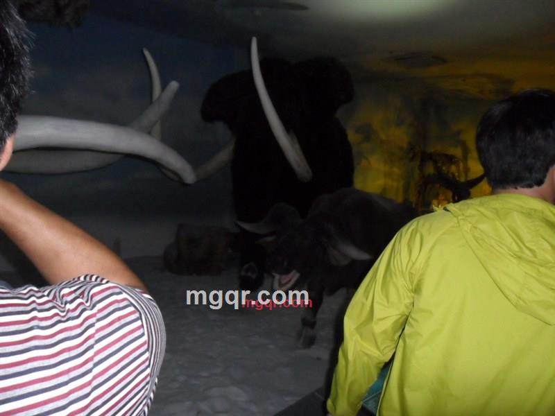 幸的开始的第1张照片