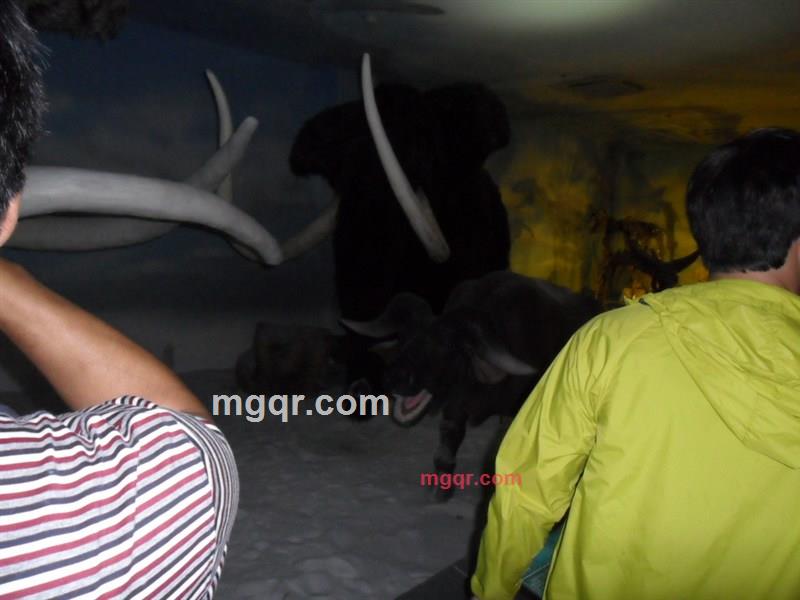 幸的开始的第3张照片