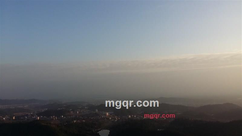 一只哈巴狗的第2张照片