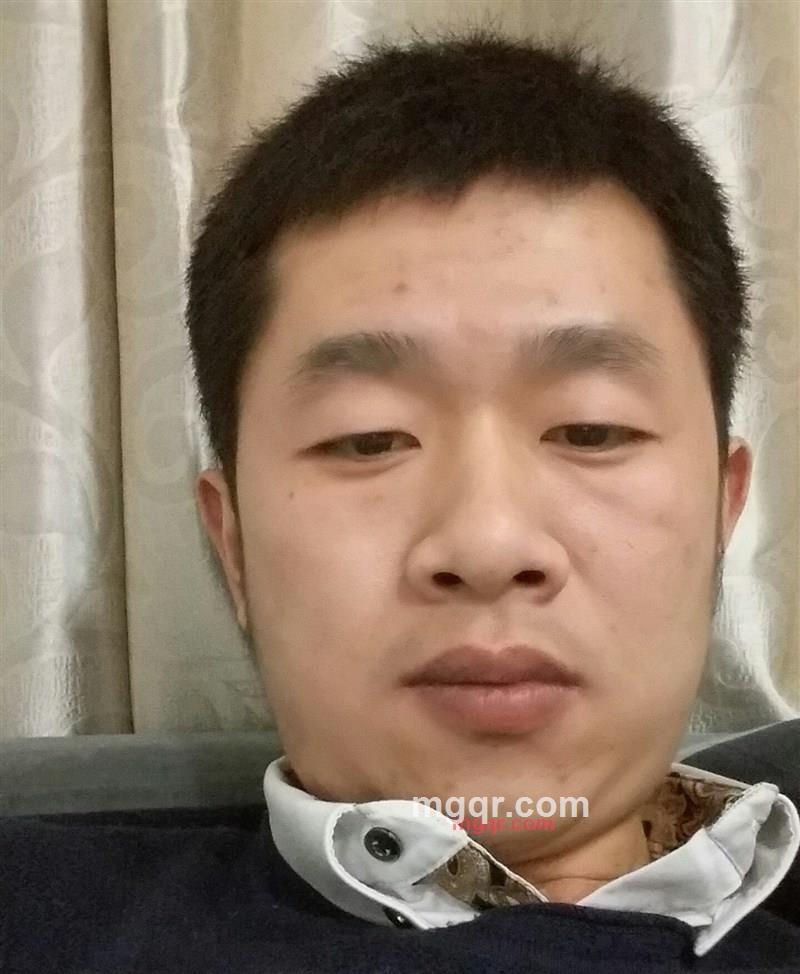 一只哈巴狗的第1张照片