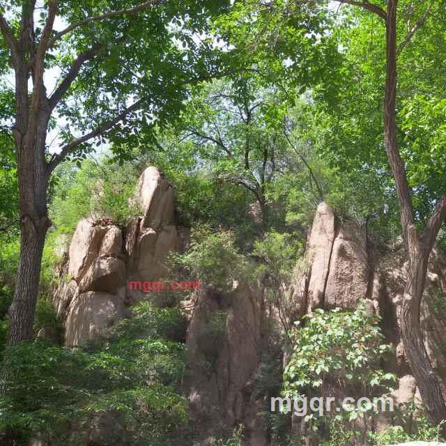 墨土的第1张照片