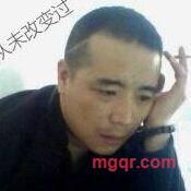 白鸽666的第1张照片