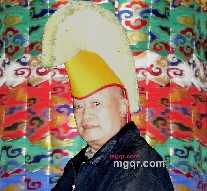 老公马的第3张照片