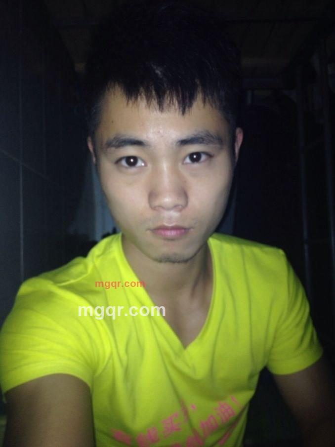 小麻雀的大森林的第2张照片