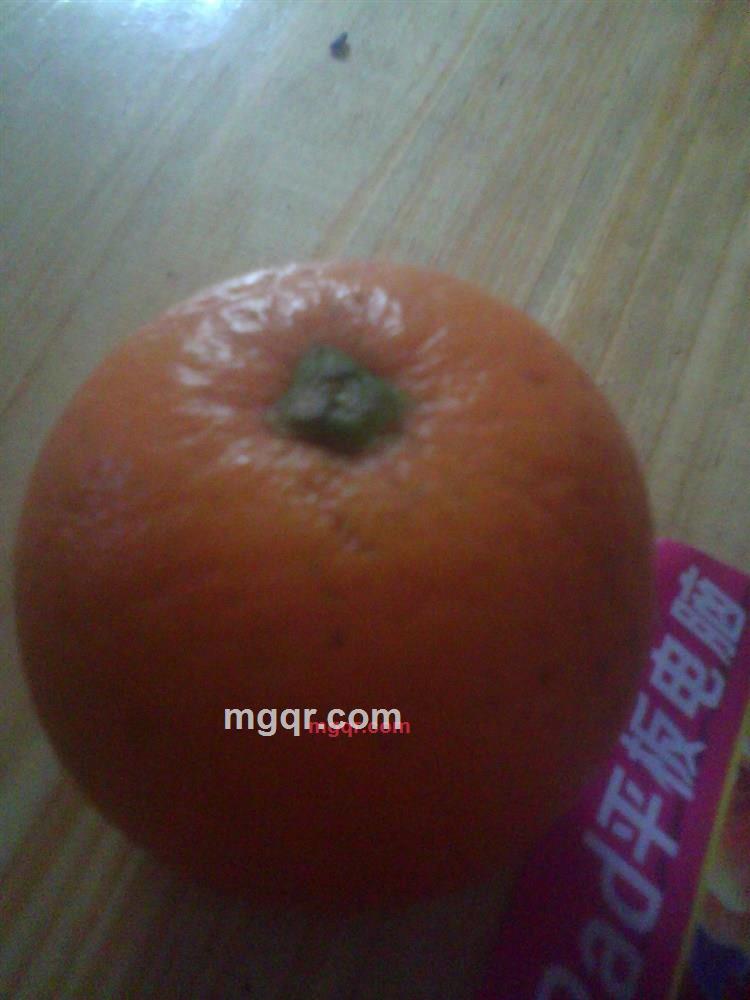 發哥的第1张照片