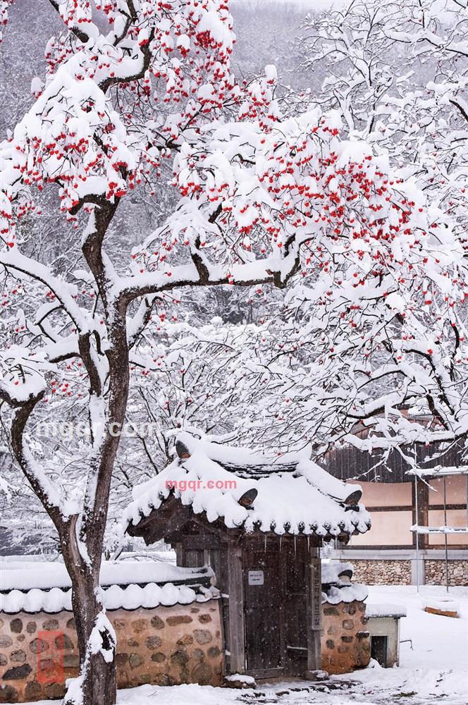 jams73的第2张照片