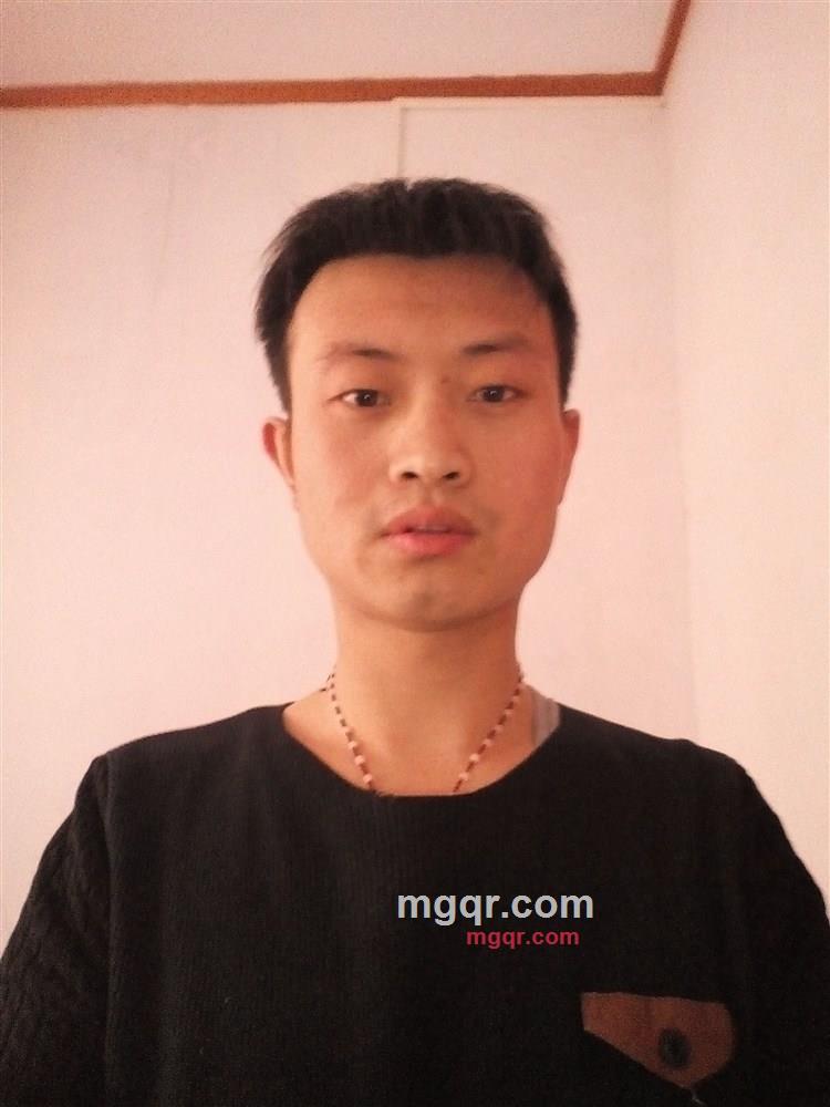 孤独的狼的第1张照片