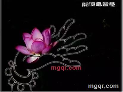 rose情思的第1张照片