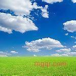 善音朝克图的第2张照片