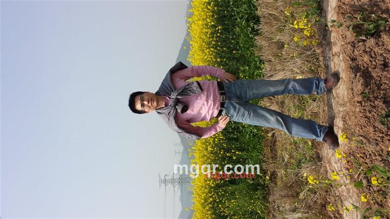 6312CD儒雅男人的第1张照片