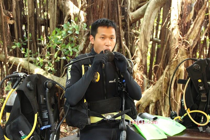 wade339的第2张照片