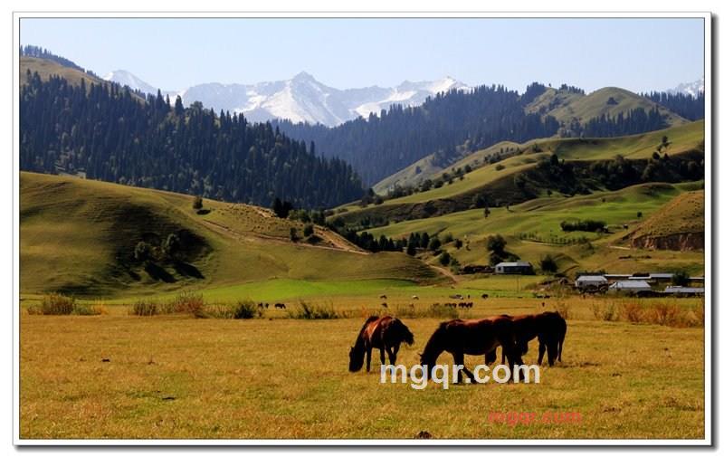麦岛的第4张照片