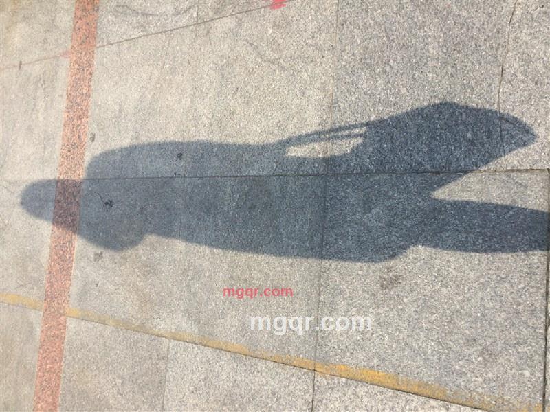 子野花的第1张照片