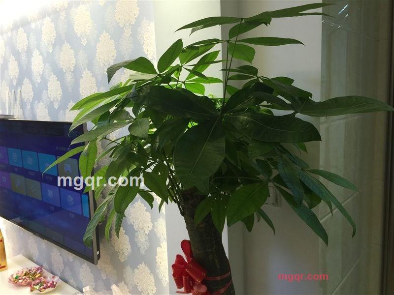 你爱我吧的第2张照片