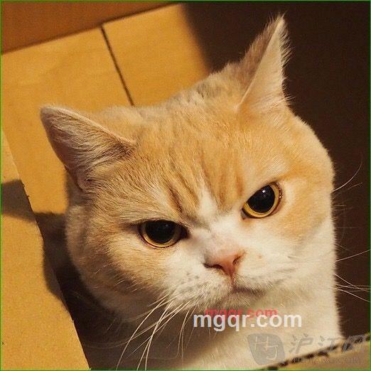 金地常博的第1张照片