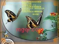 你 在哪里?的第1张照片